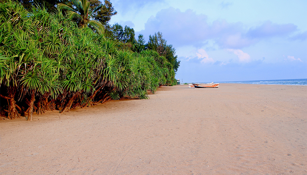 スリランカ旅行 トリンコマリー東海岸